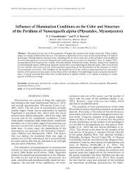 Attēlu rezultāti vaicājumam “Physarum braunianum young”