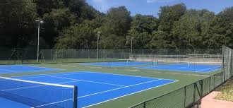 Image result for Ivybridge Tennis Club