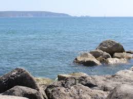 Image result for Lymington Cc