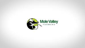 Image result for Mole Valley Bowmen