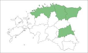 Attēlu rezultāti vaicājumam “Jungermannia hyalina”