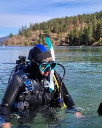 Image result for innerspace divers