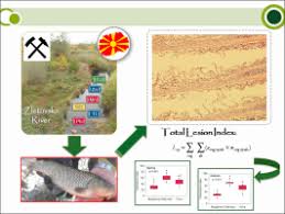 Image result for Squalius vardarensis