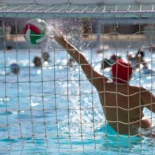 Image result for Exeter Waterpolo and Swimming Club