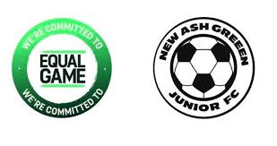 Image result for New Ash Green Badminton Club