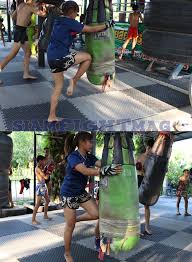 Image result for S J T B Thai Boxing Gym