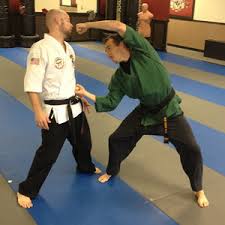 Image result for Budo Shin Ryu Kempo Jujitsu Academy