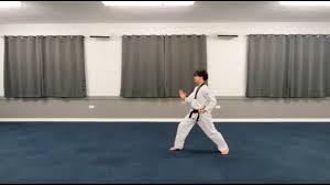 Image result for Ashford School Of Taekwondo
