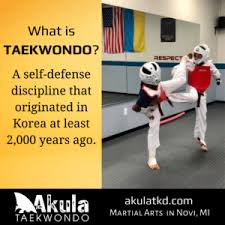 Image result for Tkd Self Defense