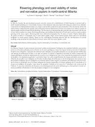 Attēlu rezultāti vaicājumam “Populus x petrowskyana”