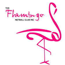 Image result for Tongham Netball Club