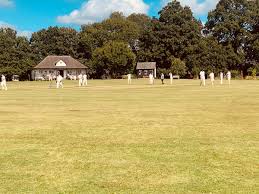 Image result for Bolney Cricket Club