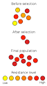 Antibiotic resistance - Wikipedia, the free encyclopedia