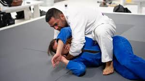 Image result for Revolution Dojo