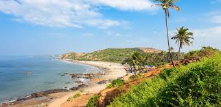 Image result for goa beaches