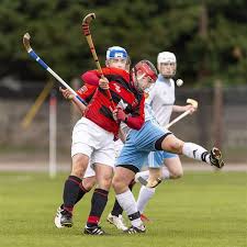 Image result for Lochcarron Camanachd