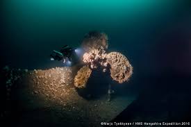 Image result for 3D Diving Club