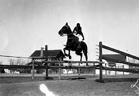 Image result for Woodhill Riding Club