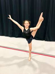 Image result for L&G Acrobatics