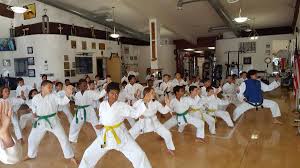 Image result for Synergy Tae Kwon Do