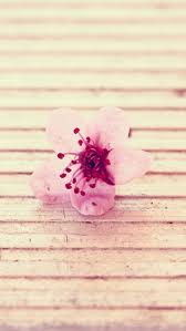 Image result for розовые обои