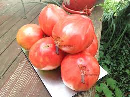 Afbeeldingsresultaat voor erdie family oxheart tomato
