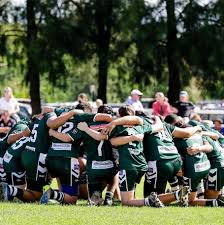 Image result for St Mary's Old Boys Rugby Union Football Club