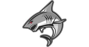 Image result for Huddersfield Junior Sharks Arlfc