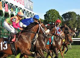Image result for The Horse Racing Club
