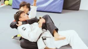 Image result for Revolution Dojo