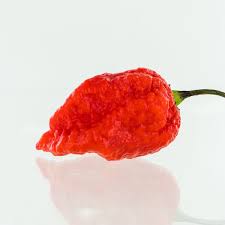 Afbeeldingsresultaat voor 7 pot hot pepper