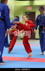 Image result for Park Place Olympic Tkd