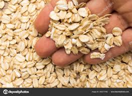 Attēlu rezultāti vaicājumam “Avena sativa fruit”