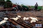 Tornado sweeps S China's Guangdong - China.