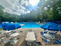 Image result for Tynedale Swimming Club