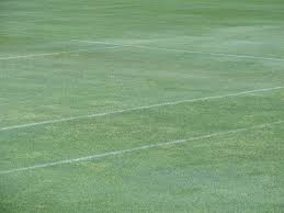 Image result for Ardmore Cricket & Football Club