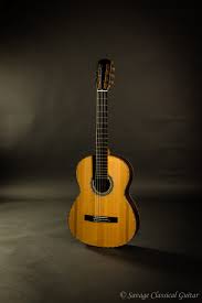 Image result for selvatici tehron