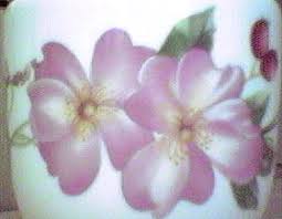 Image result for Worcester and Pershore Shukokai