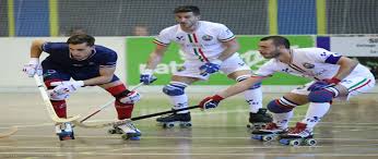 Image result for Team-Tigers Roller Hockey Club
