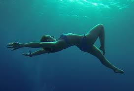 Image result for Apneists UK