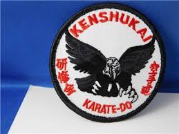Image result for Kenshukai Karate