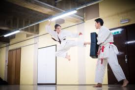 Image result for Shitokai Karate Club