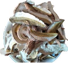 Attēlu rezultāti vaicājumam “Boletus luridus”