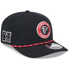 Image result for Falcons Black