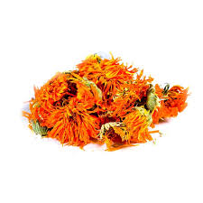 Attēlu rezultāti vaicājumam “Calendula officinalis”