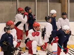 Image result for West Coast Wasps Skater Hockey Club