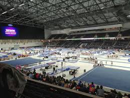 Image result for Blandford Forum Gymnastics & Kanga Club