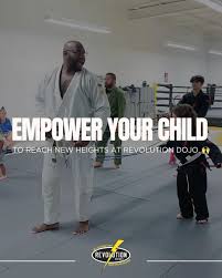 Image result for Revolution Dojo