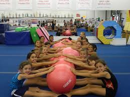 Image result for Acrobrats