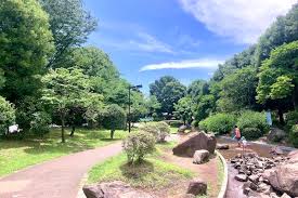 Image result for 東大和市南街5丁目〈売地〉西武拝島線「東大和市」駅徒歩9分　公園・教育・病院・商業施設などが徒歩圏内に充実した ご家族みんなが安心出来る好立地！　陽当たり良好な二方道路の土地